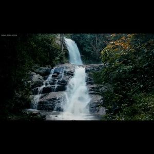 Meet your Posher, Maagen